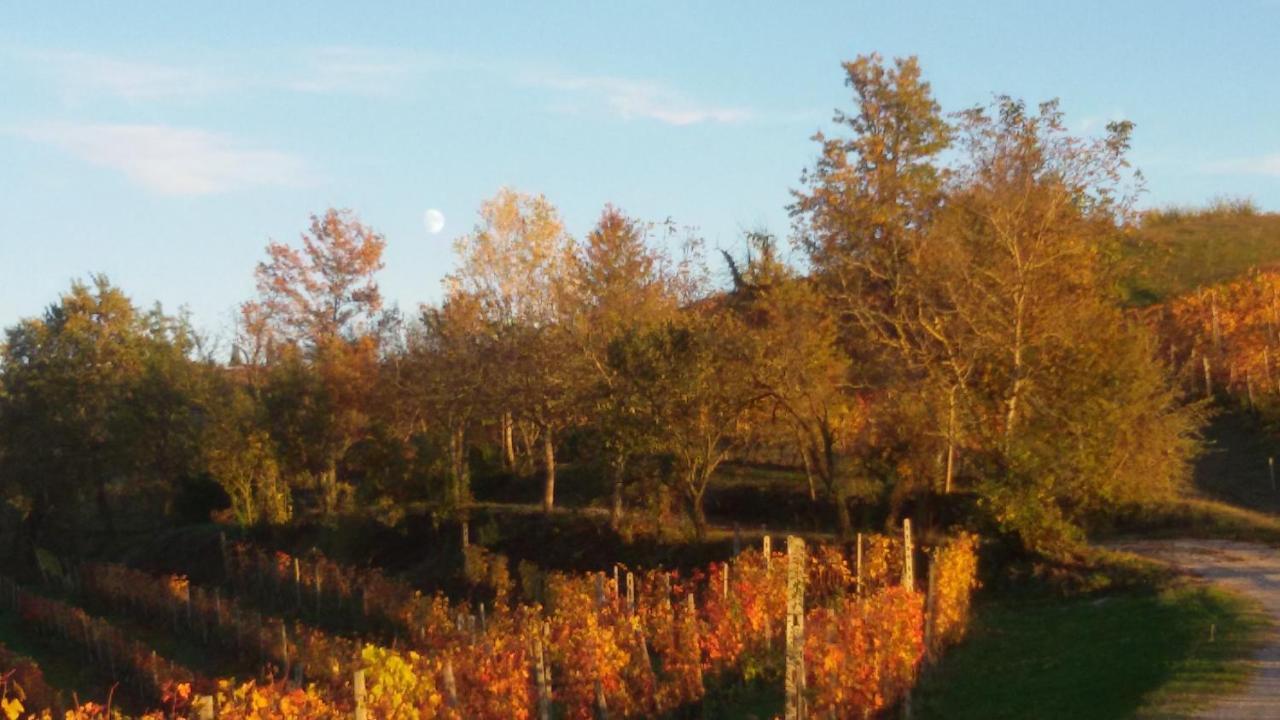 Cascina Torello Dogliani Εξωτερικό φωτογραφία