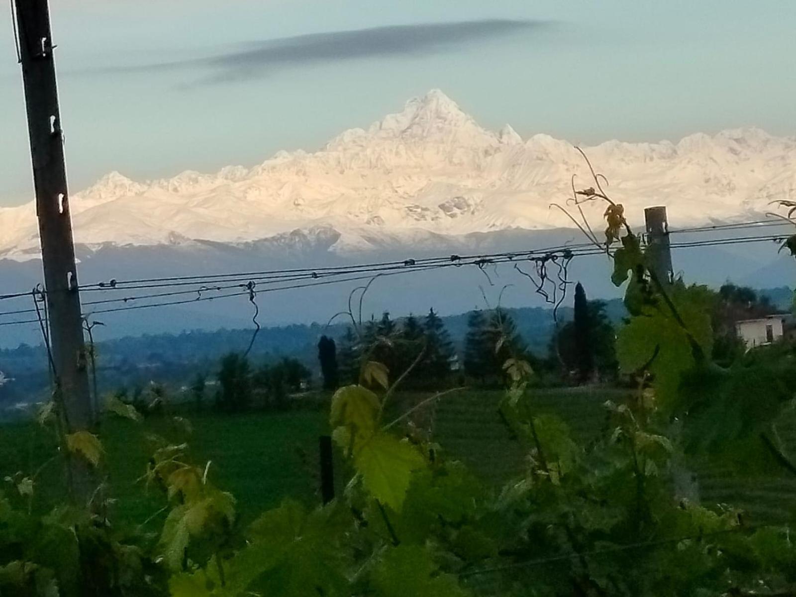 Cascina Torello Dogliani Εξωτερικό φωτογραφία