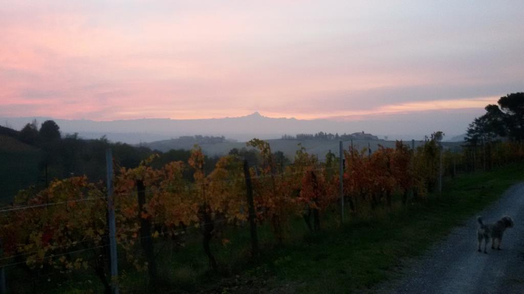 Cascina Torello Dogliani Εξωτερικό φωτογραφία
