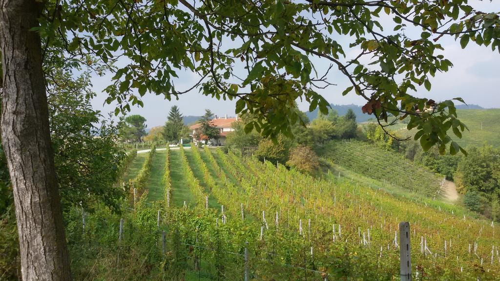 Cascina Torello Dogliani Εξωτερικό φωτογραφία