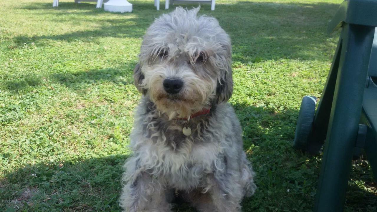 Cascina Torello Dogliani Εξωτερικό φωτογραφία